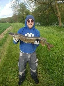 Northern Pike
