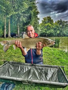 Grass Carp