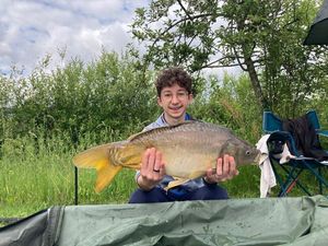 Mirror Carp