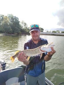 Northern Pike