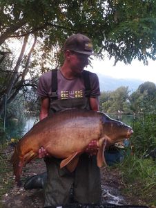 Mirror Carp