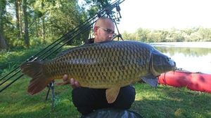 Common Carp