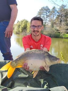 Mirror Carp