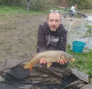 Common Carp