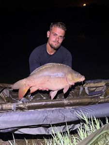 Mirror Carp