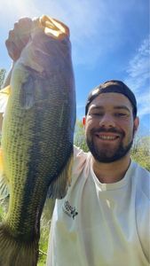 Smallmouth Bass