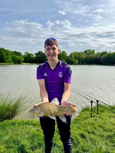 Tench