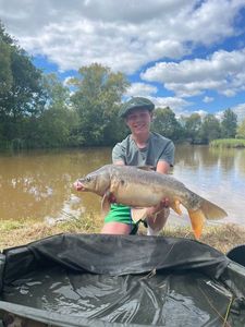 Mirror Carp