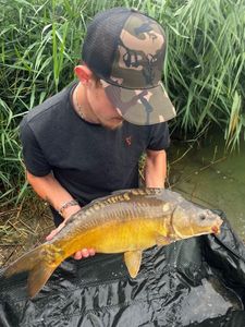 Leather Carp