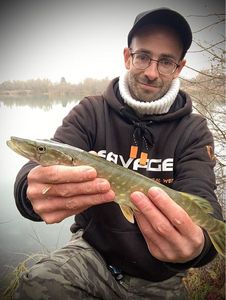 Northern Pike