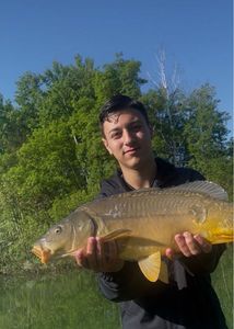 Mirror Carp