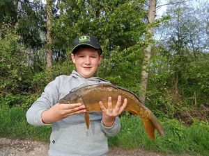Mirror Carp