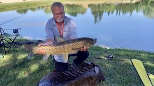 Grass Carp