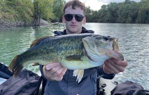 Largemouth Bass