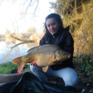 Mirror Carp