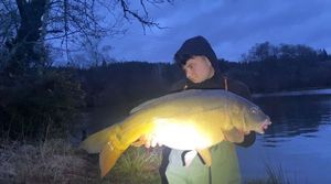 Mirror Carp
