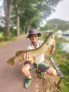 Northern Pike