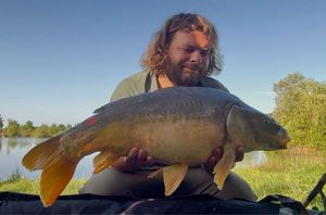 Mirror Carp