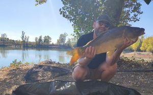 Mirror Carp