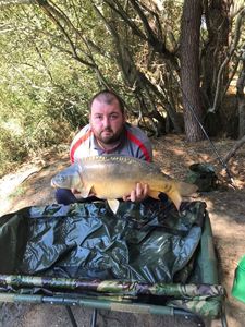 Mirror Carp