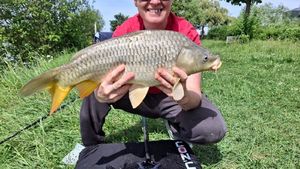 Common Carp