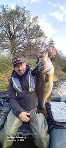 Largemouth Bass