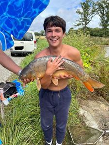 Mirror Carp
