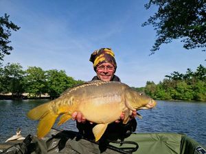 Mirror Carp