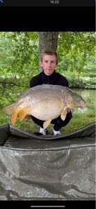 Mirror Carp