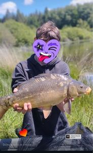 Common Carp