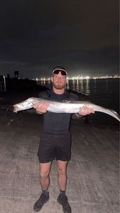 Largehead Hairtail