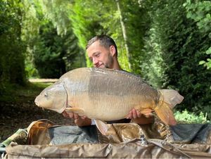 Mirror Carp