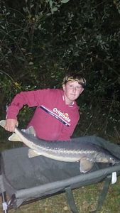Sturgeon
