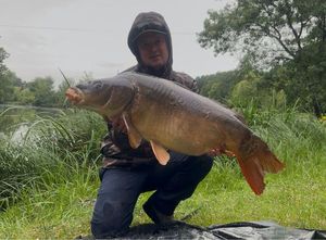 Mirror Carp
