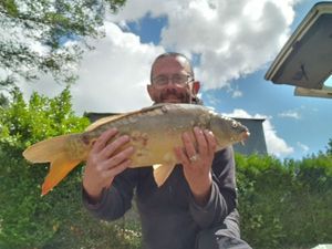 Mirror Carp