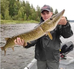 Northern Pike