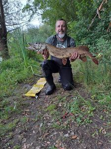 Northern Pike