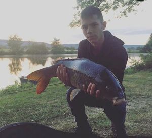 Common Carp