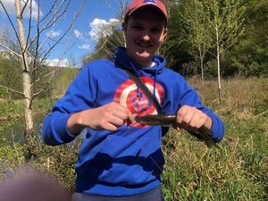 Northern Pike