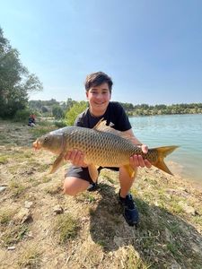Common Carp