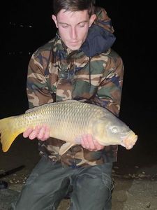 Common Carp