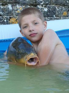 Tench