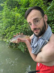 Brown Trout