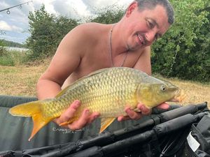 Common Carp