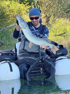 Northern Pike
