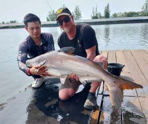 Mekong Giant Catfish