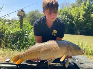 Mirror Carp