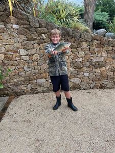 European Perch