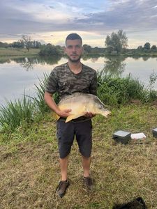 Mirror Carp