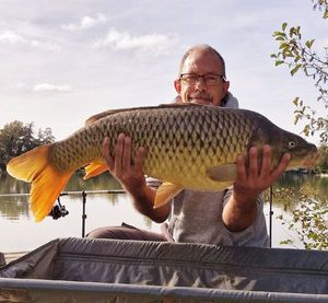 Common Carp